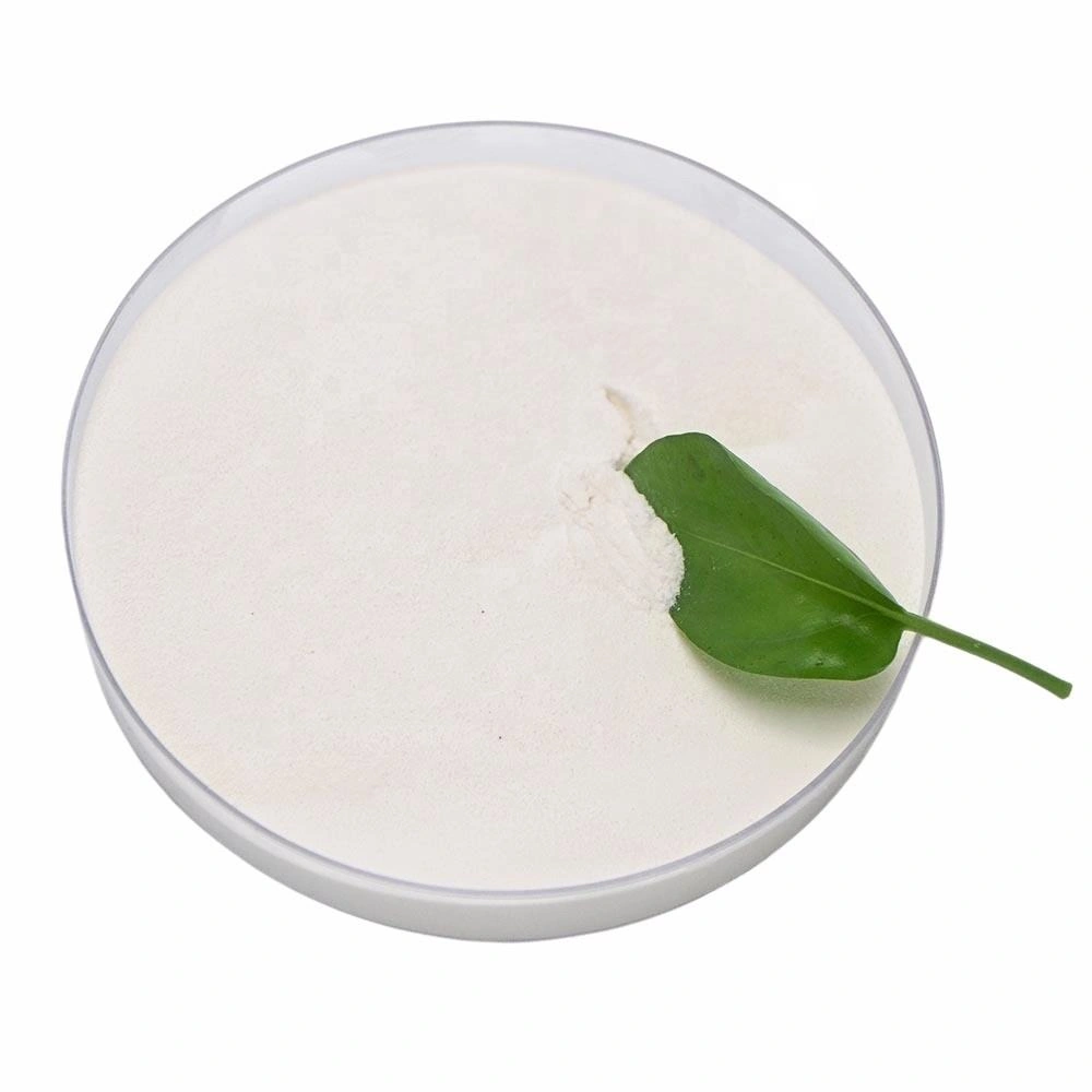 RDP Redispersible Polymer Powder Resin Supplier for Mortar